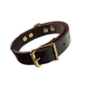 Collar de cuero para mascotas